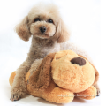 /msite/products/detail/productid/60724813/id/1337686.html